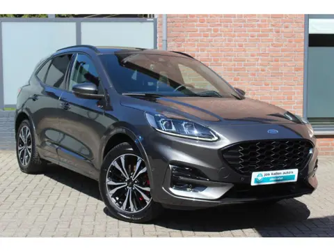 Ford Kuga 2.5 Duratec PHEV ST-Line X Driver Ass Pack, HUD, EL Trekhaak, 19", Camera V+A, Winterpack