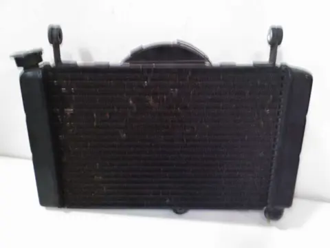 Radiator Yamaha YZF 600 Thundercat 1996 - 2003