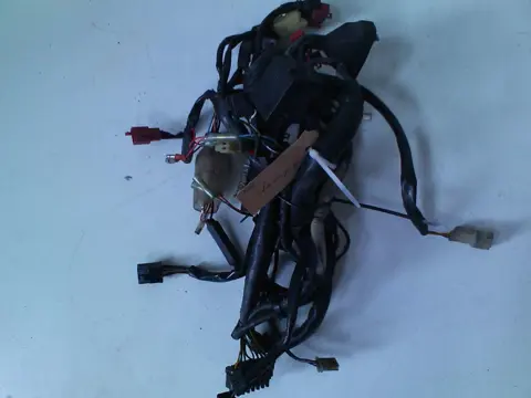 Wire Harness Honda CBR 600 F 1995 - 1998