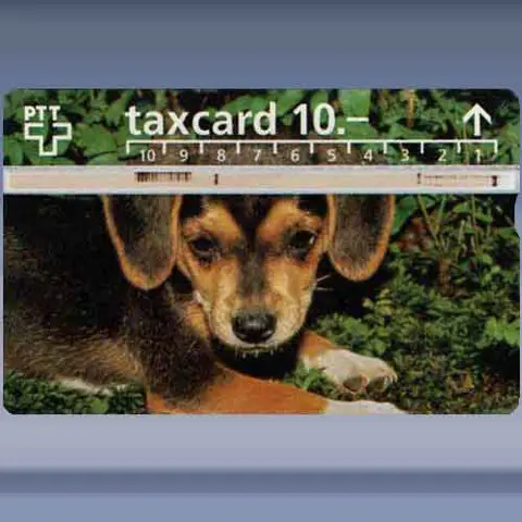 Hond (606B) (1996)