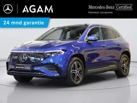 Mercedes-Benz EQA 250+ AMG Line 71 kWh Panorama dak