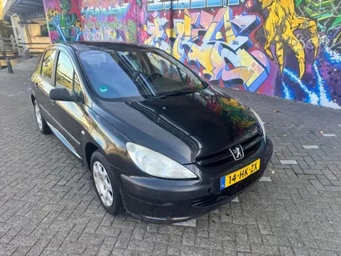 Peugeot 307 1.6-16V XR airco elektrische ramen cv trekhaak rijd heerlijk lak op dak niet mooi