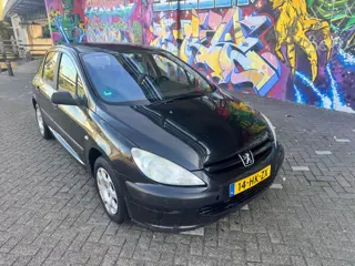 Peugeot 307 1.6-16V XR airco elektrische ramen cv trekhaak rijd heerlijk lak op dak niet mooi