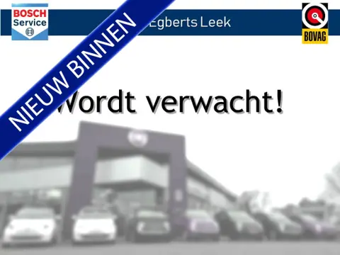Renault Scénic 1.3 TCe Intens | Automaat | Navi (bj 2019)