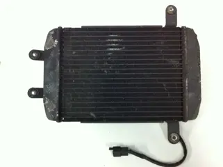 Radiator Suzuki Burgman 400 1998 - 2000