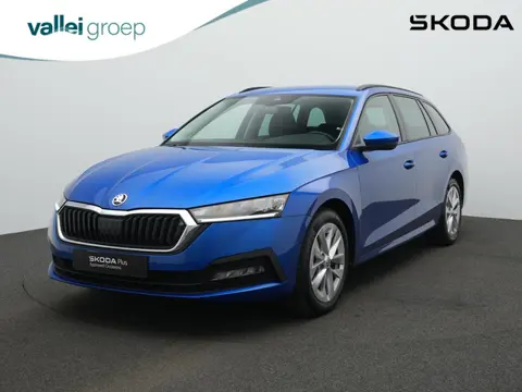 Skoda Octavia Combi 1.0 e-TSI 110 pk Business Edition | Trekhaak | Adaptive Cruise | Elektrische ach