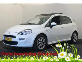 Fiat Punto Evo 0.9 TwinAir Street |Pano| *Hemelvaart open*