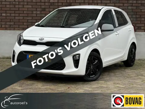 Kia Picanto 1.0 DPi ComfortLine / ALL-Season / Cruise Control / Airco / DAB / 1e Eigenaar / NED-Pica