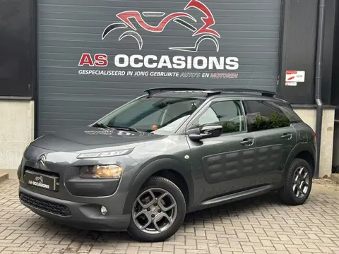 Citroen C4 Cactus 1.2 VTi Business - Nwe Riem - Nwe Koppeling
