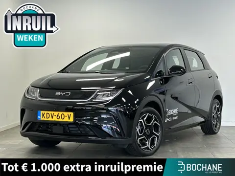 BYD DOLPHIN Comfort 60.4 kWh | NAVI | CAMERA | CRUISE