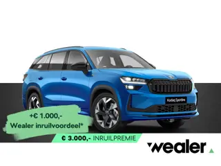 Škoda Kodiaq Sportline Business 1.5 TSI PHEV 204 PK | Trekhaak | Winterpakket | Comfortpakket | Pano