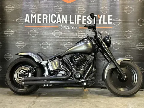 Harley-Davidson Chopper Softail Fatboy FLSTF (bj 2002)