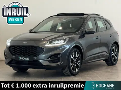Ford Kuga 1.5 EcoBoost ST-Line | Panoramdak | Trekhaak afneembaar | Lichtmetalen velgen 19" | Apple 