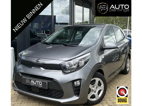 Kia Picanto 1.0 DPi ComfortLine | AUTOMAAT | Dealeronderhouden | 1e Eigenaar | NL AUTO | Airco | Cru