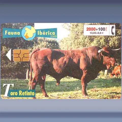 Stier (2000)