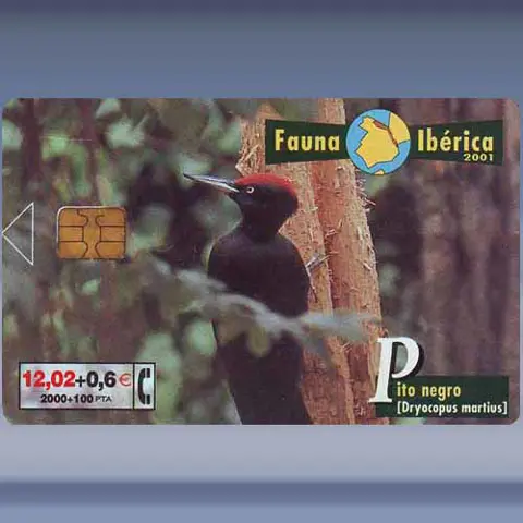 Pito Negro (2001)