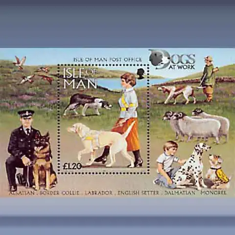 Honden (1996)