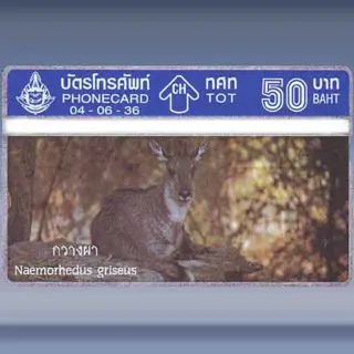 Wildlife 2/4 (1993)