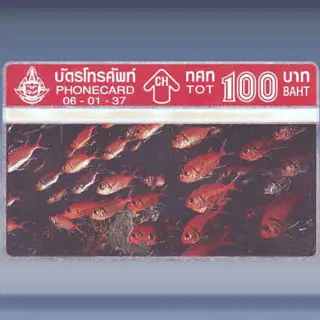 Sea Fish 4/4 (1994)