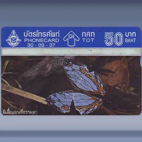 Vlinder 2/4 (1994)