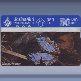 Vlinder 2/4 (1994)