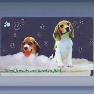 Good friends are... (1997)