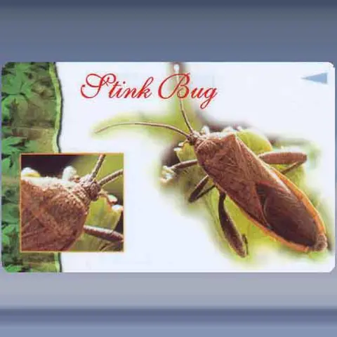 Insecten (3) (1997)