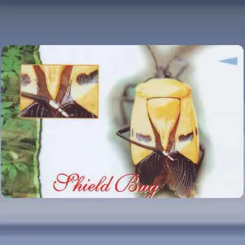 Insecten (5) (1997)