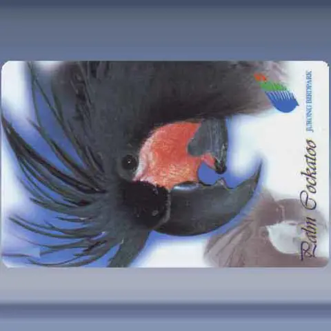 Papagaai (5) (1997)