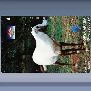 Oryx Arabia (1996)