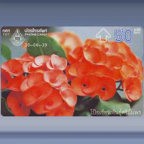 Poi Sien 2/4 (1996)