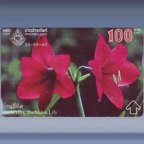 Bloemen 3/4 (1997)