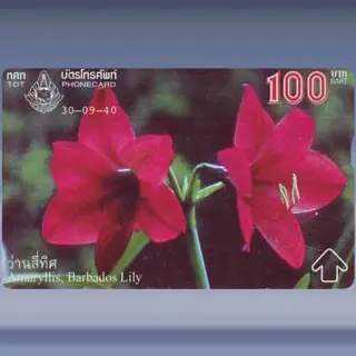Bloemen 3/4 (1997)