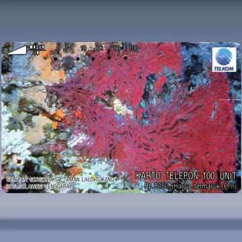 Sea Fan (1993)
