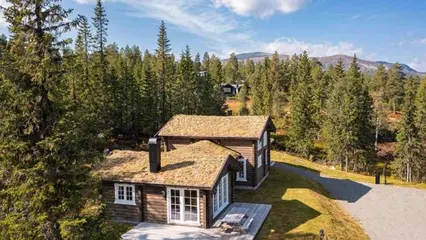 Zomerweek Trysil privé chalets (alle), Trysil