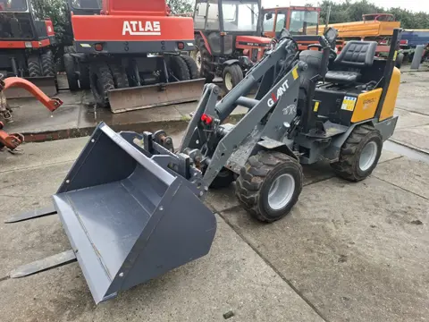 Giant D263G (bj 2010)