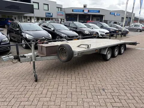 Niewiadow BJR 2021 | 3-ASSER | 6 METER (bj 2021)