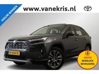 Toyota RAV4 2.5 Hybrid AWD Executive, Panodak