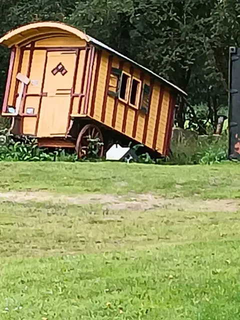 Pseudo arts gezocht