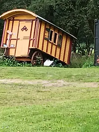 Pseudo arts gezocht