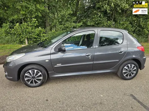 Peugeot 206 + 1.4 Millesim 200