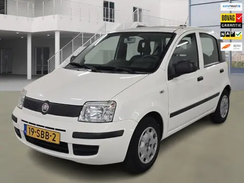 Fiat Panda 1.2 Active 41.600 km +NAP NL-auto
