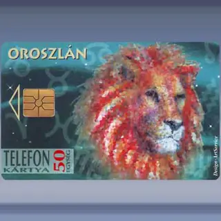 Leeuw (1995)