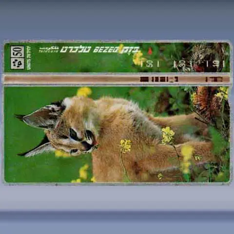 Caracal (1998)