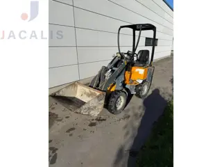 Giant D204SW (bj 2013)