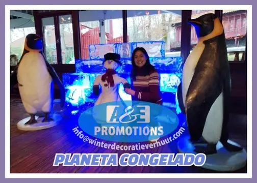 Verhuur frozen planet aankleding ijs iglo nijmegen