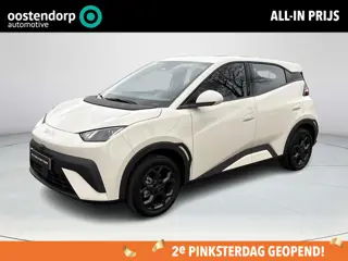 BYD Dolphin Surf Boost 43 kWh | €2000 korting | 320 KM WLTP | Achteruitrijcamera | Adaptive cruise c