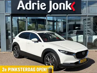 Mazda CX-30 2.0 e-SkyActiv-X M Hybrid100th Anniversary Ed. | TREKHAAK | APPLE-CARPLAY | LEDER | 18 I