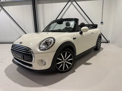 MINI Cabrio 1.5 Cooper Chili. LED,Half leer,17". Eerste eig !! Zeer mooi !