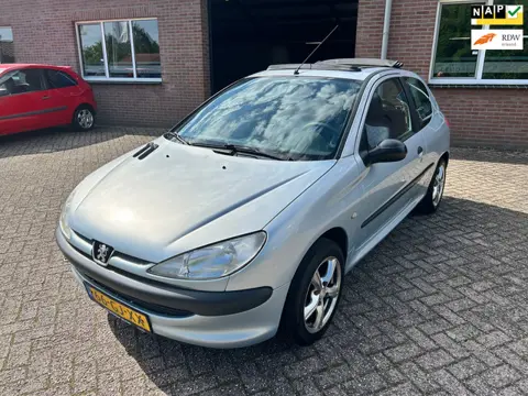 Peugeot 206 1.1 XN // Open dak // Nieuwe APK !!